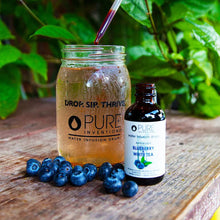 Antioxidant + Memory Support Blueberry White Tea