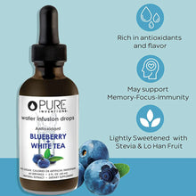 Antioxidant + Memory Support Blueberry White Tea