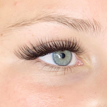 Pre-made 10D Volume Fans