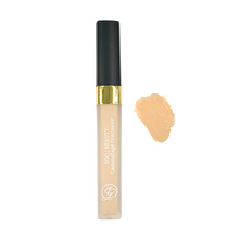 Camouflage Concealer