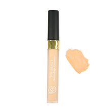 Camouflage Concealer