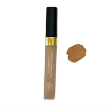 Camouflage Concealer