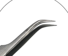 Sharp Angle Beak Nose TW033